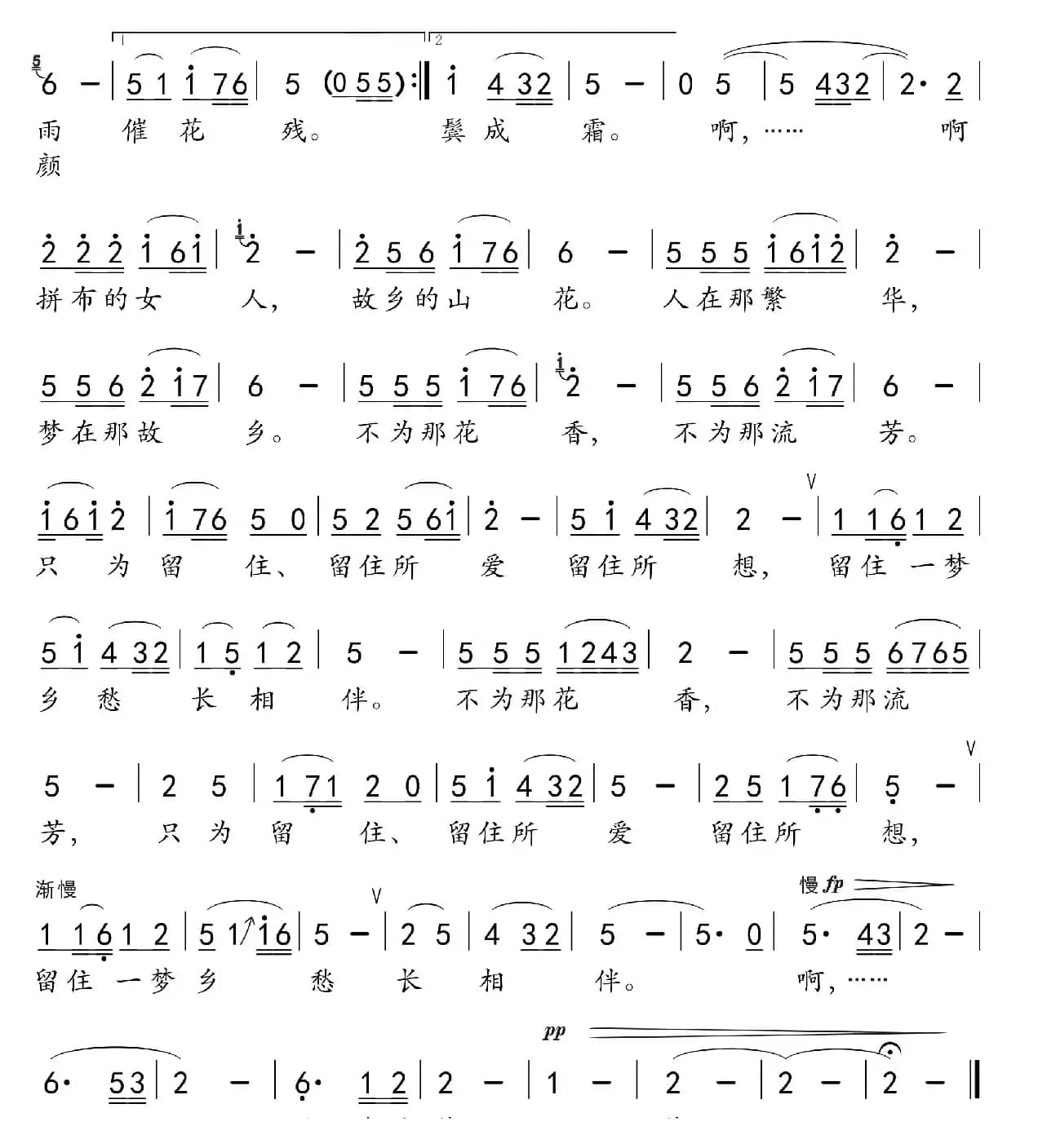 拼布的女人故乡的花