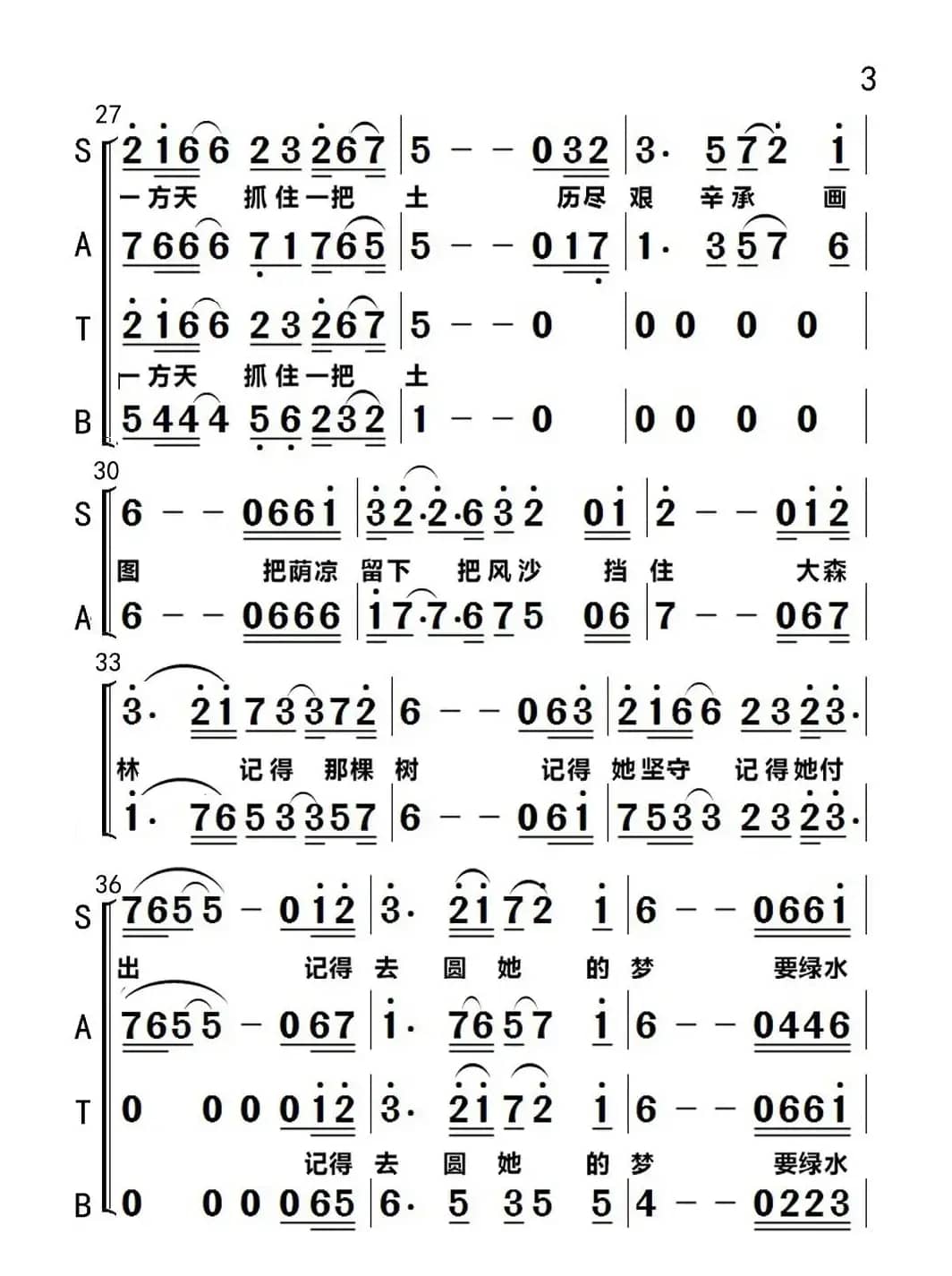 大森林记得一棵树