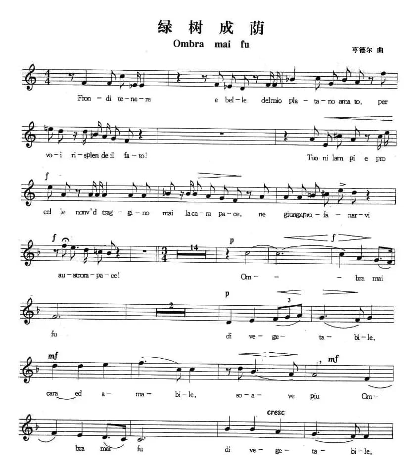 [德] 绿树成荫（五线谱 ）
