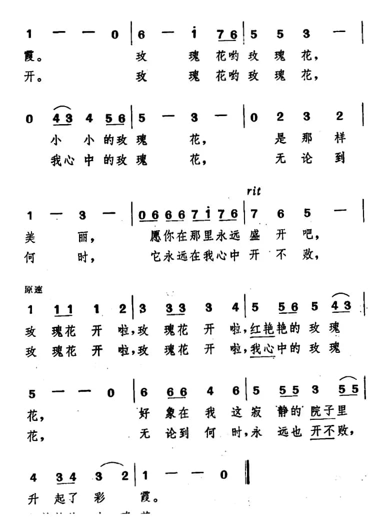[日]玫瑰花开