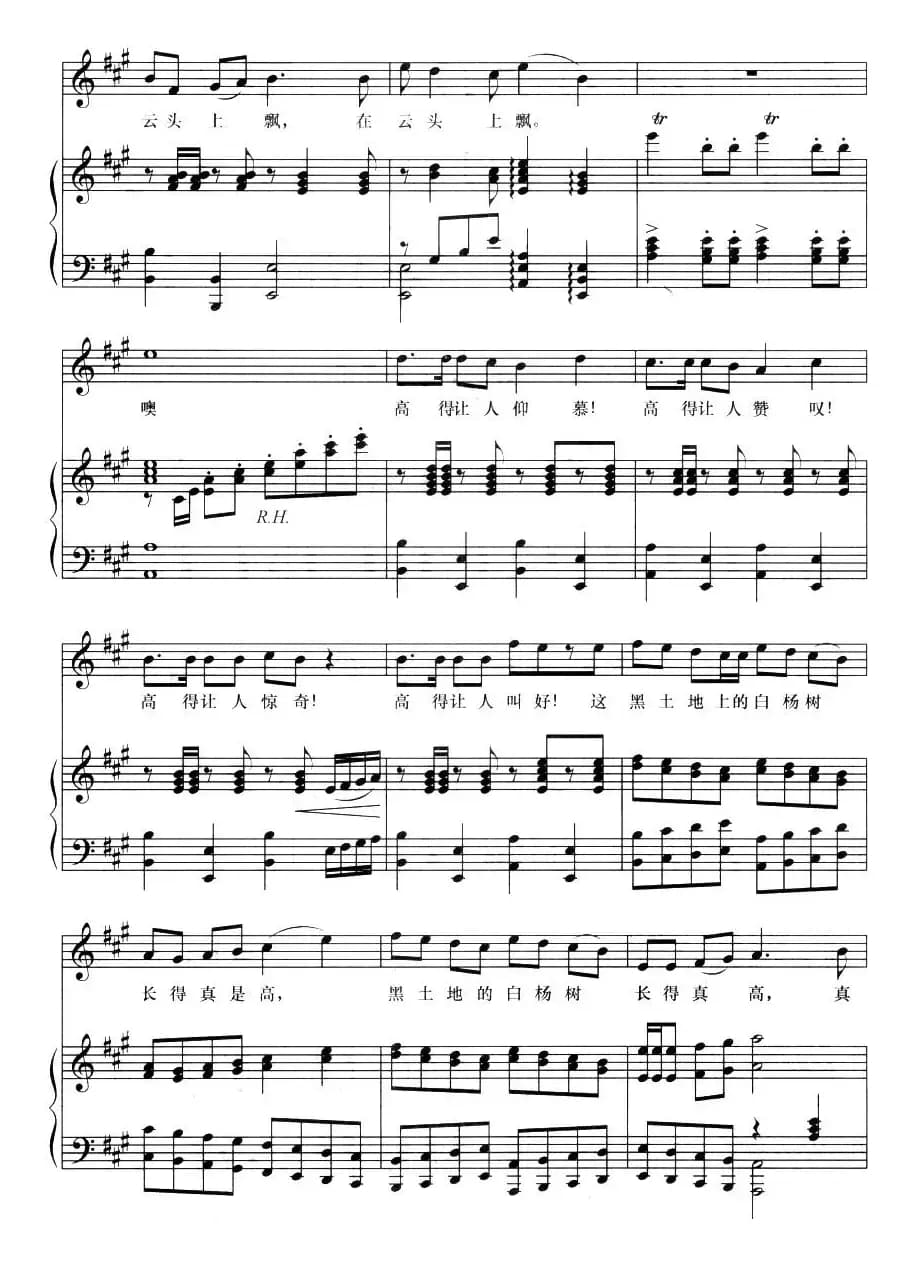 黑土地的白杨树（正谱）