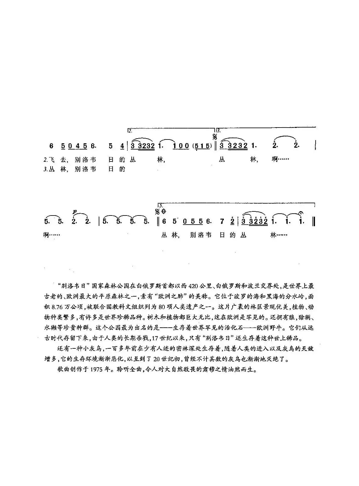 ​[俄]9别洛韦日的丛林