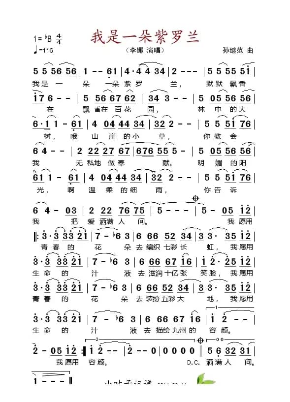 我是一朵紫罗兰