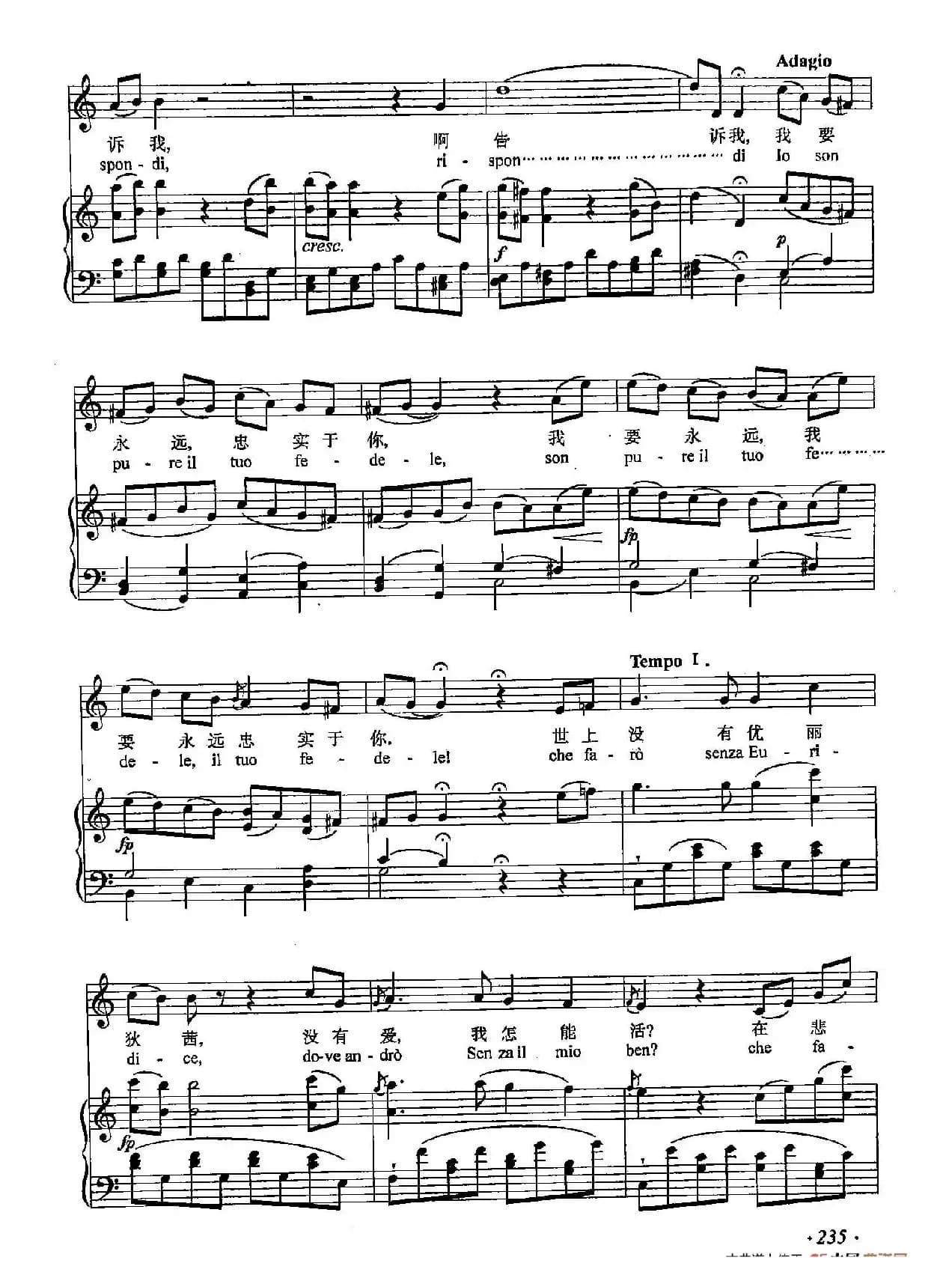 丁小琴编-70世上没有优丽狄茜我怎能活（正谱）