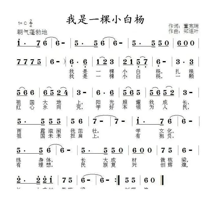 我是一棵小白杨