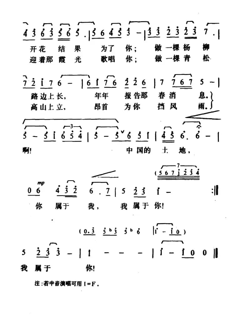 啊！中国的土地