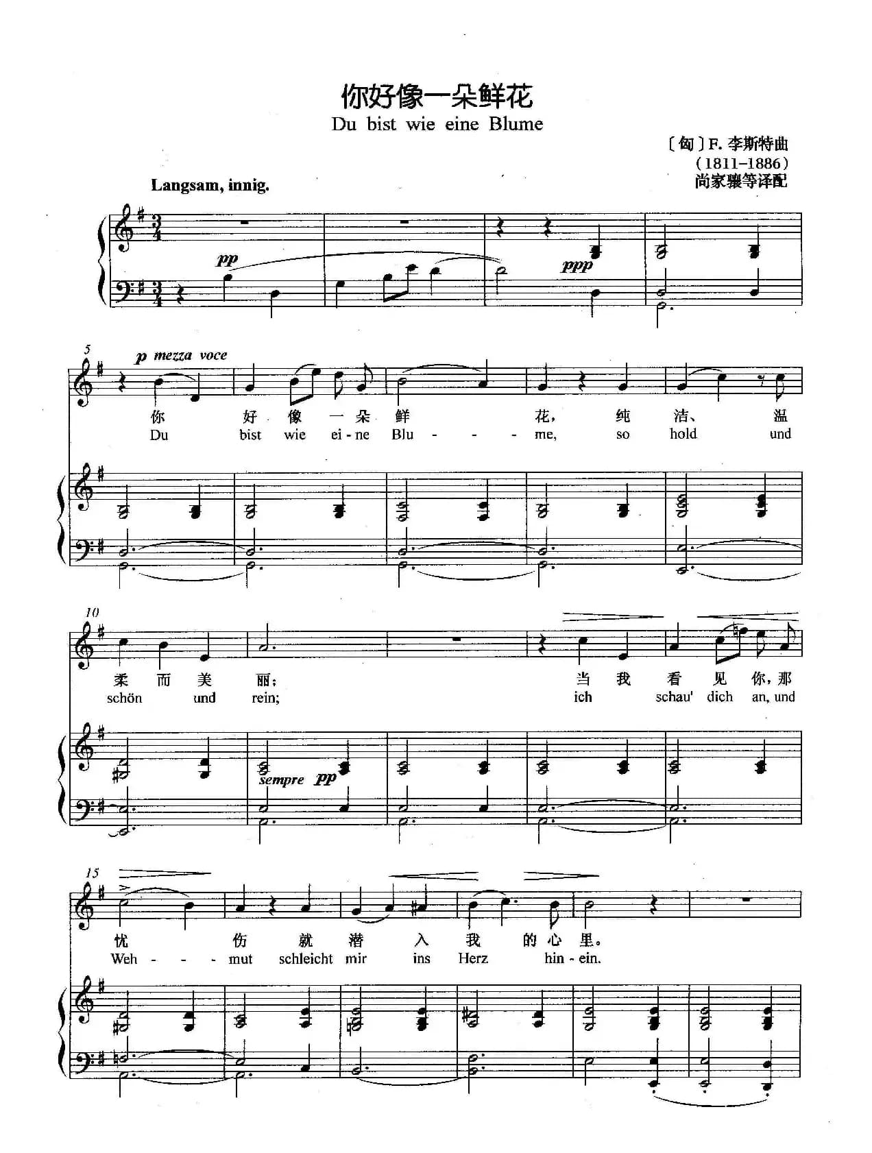 [匈]你好像一朵鲜花（正谱）
