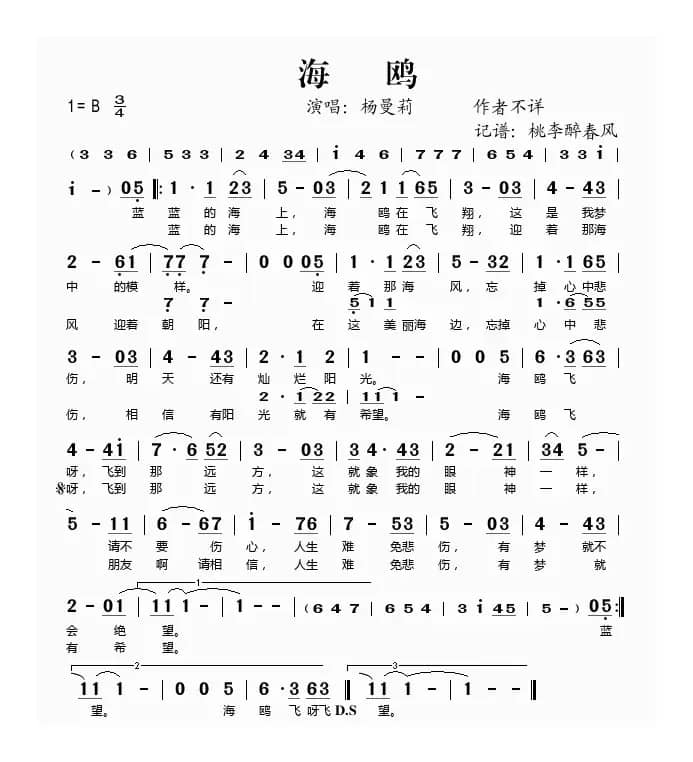 海鸥（杨曼莉演唱版）