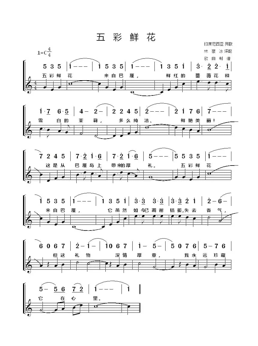 [印度尼西亚] 五彩鲜花