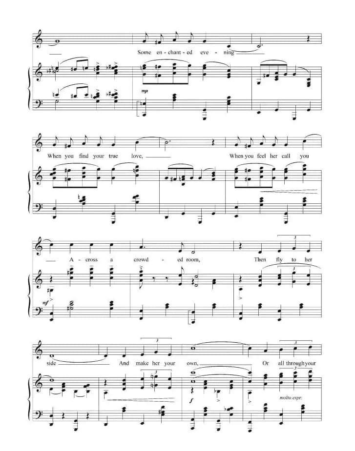 有个迷人的夜晚（正谱 [美]）