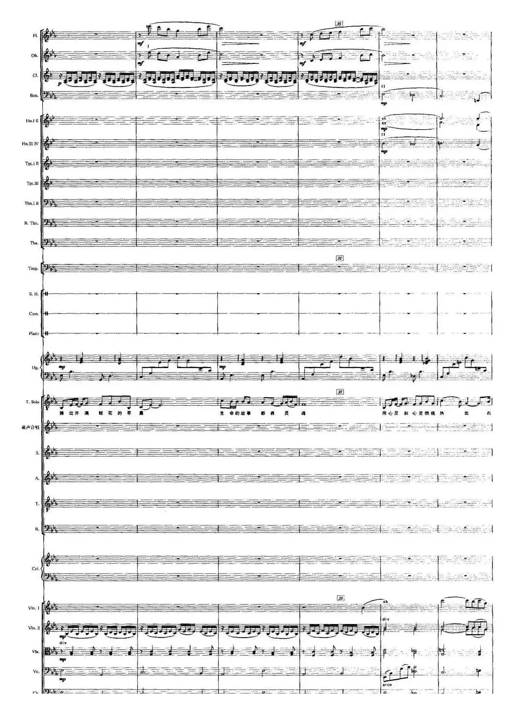 召唤（宋小明词 栾凯曲）（声乐及伴奏总谱）