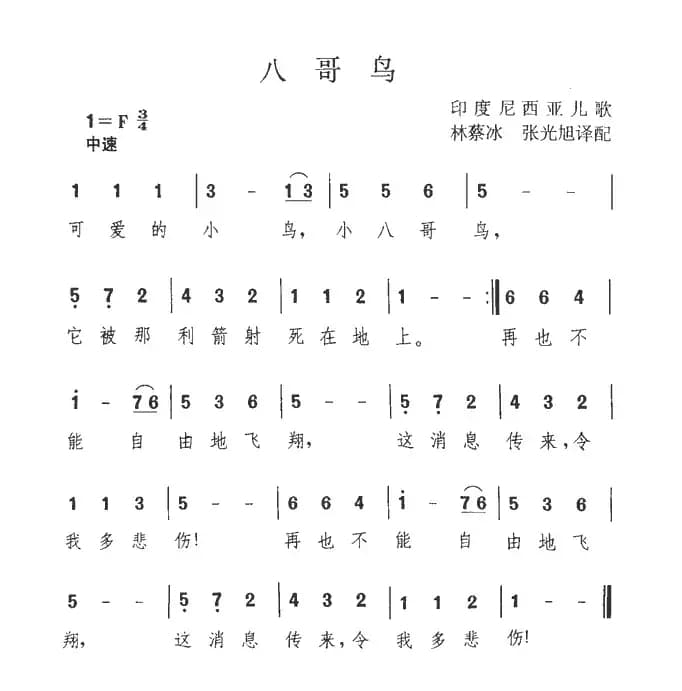 八哥鸟（印尼）