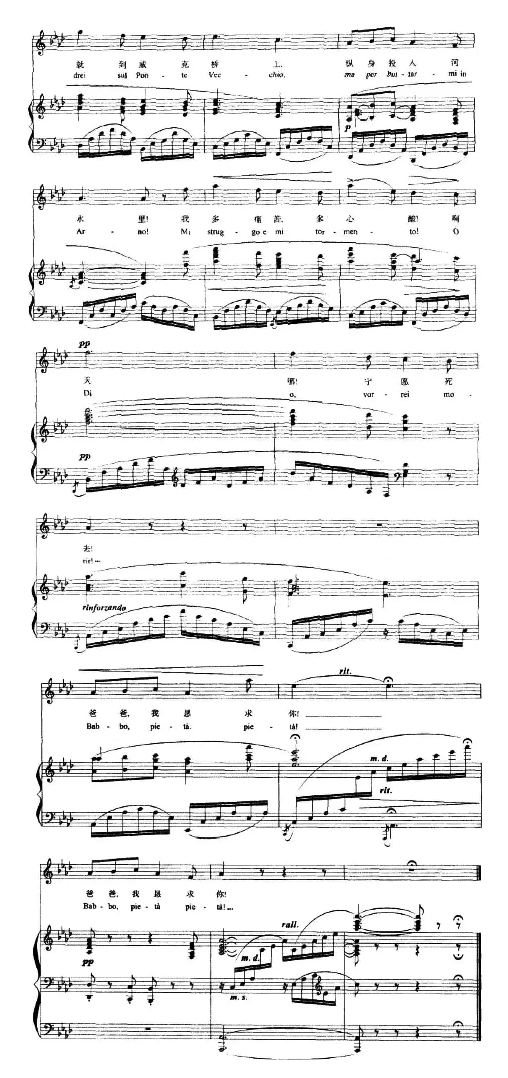  [意]我亲爱的爸爸（O mio babbino caro）