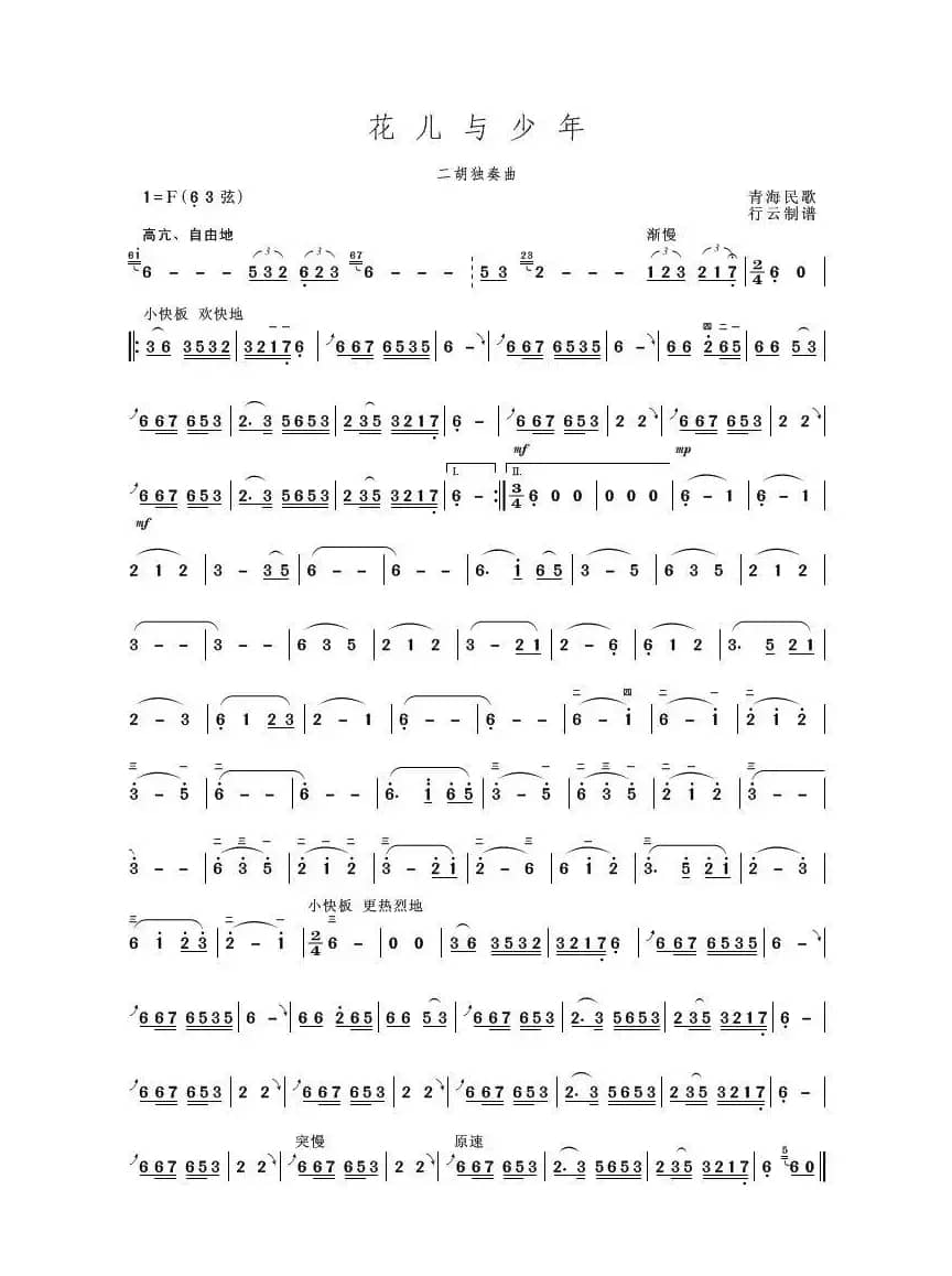 花儿与少年（二胡独奏曲）