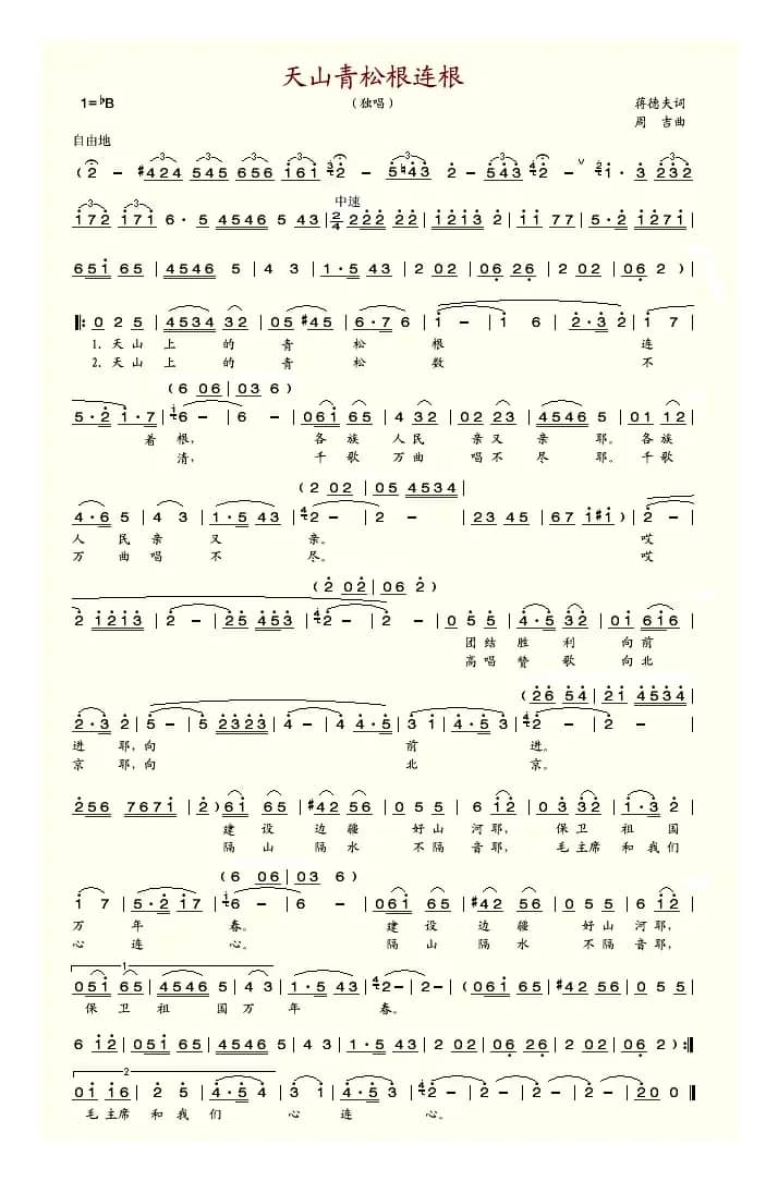 天山青松根连根