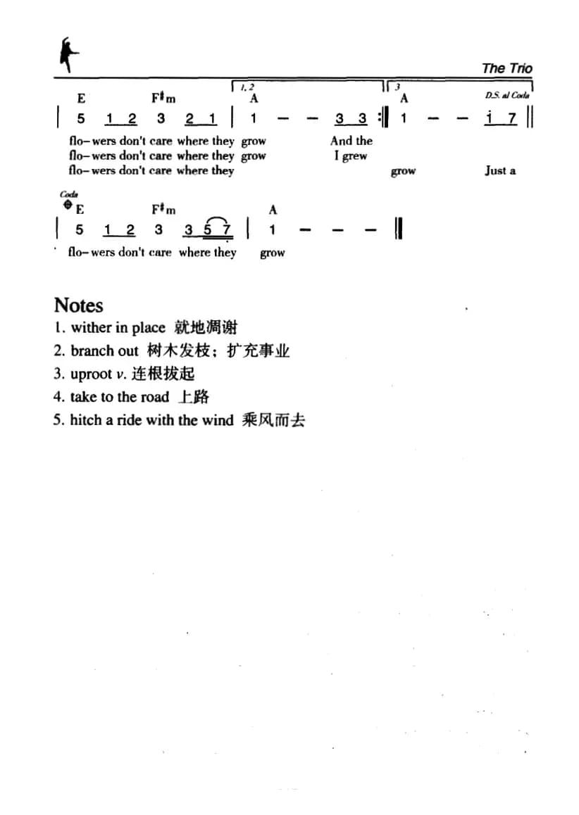 Wildflowers（野花）