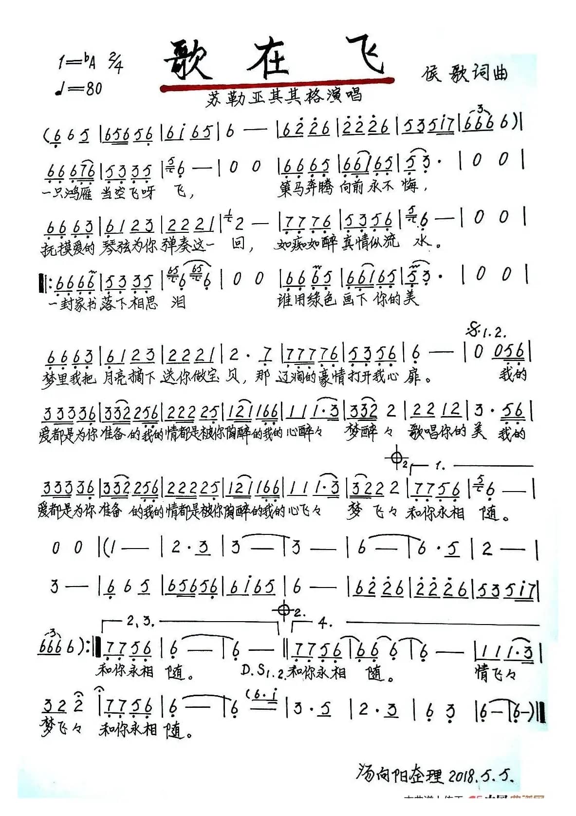 歌在飞（手稿版）