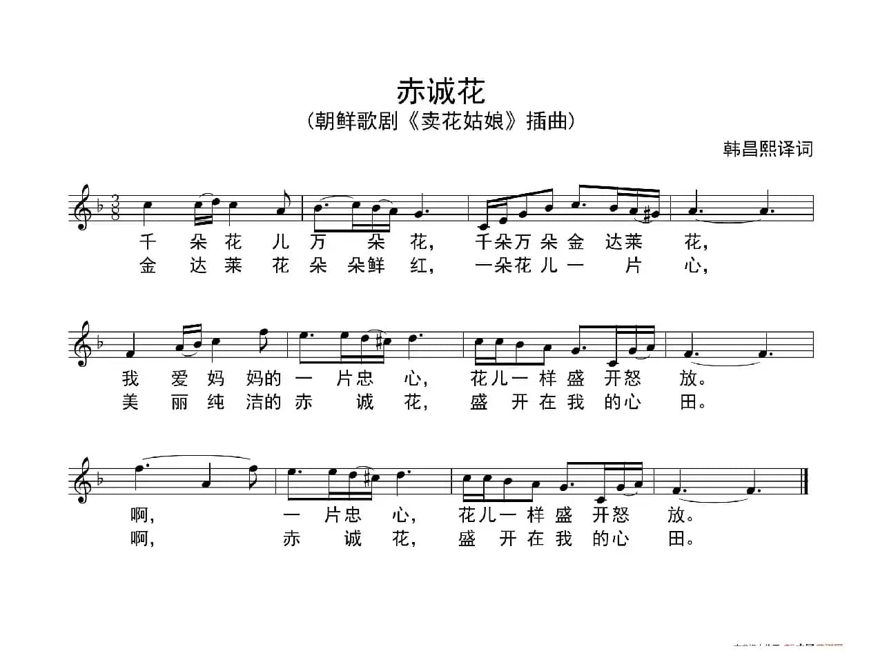 赤诚花（朝鲜歌剧《卖花姑娘》选曲、五线谱））