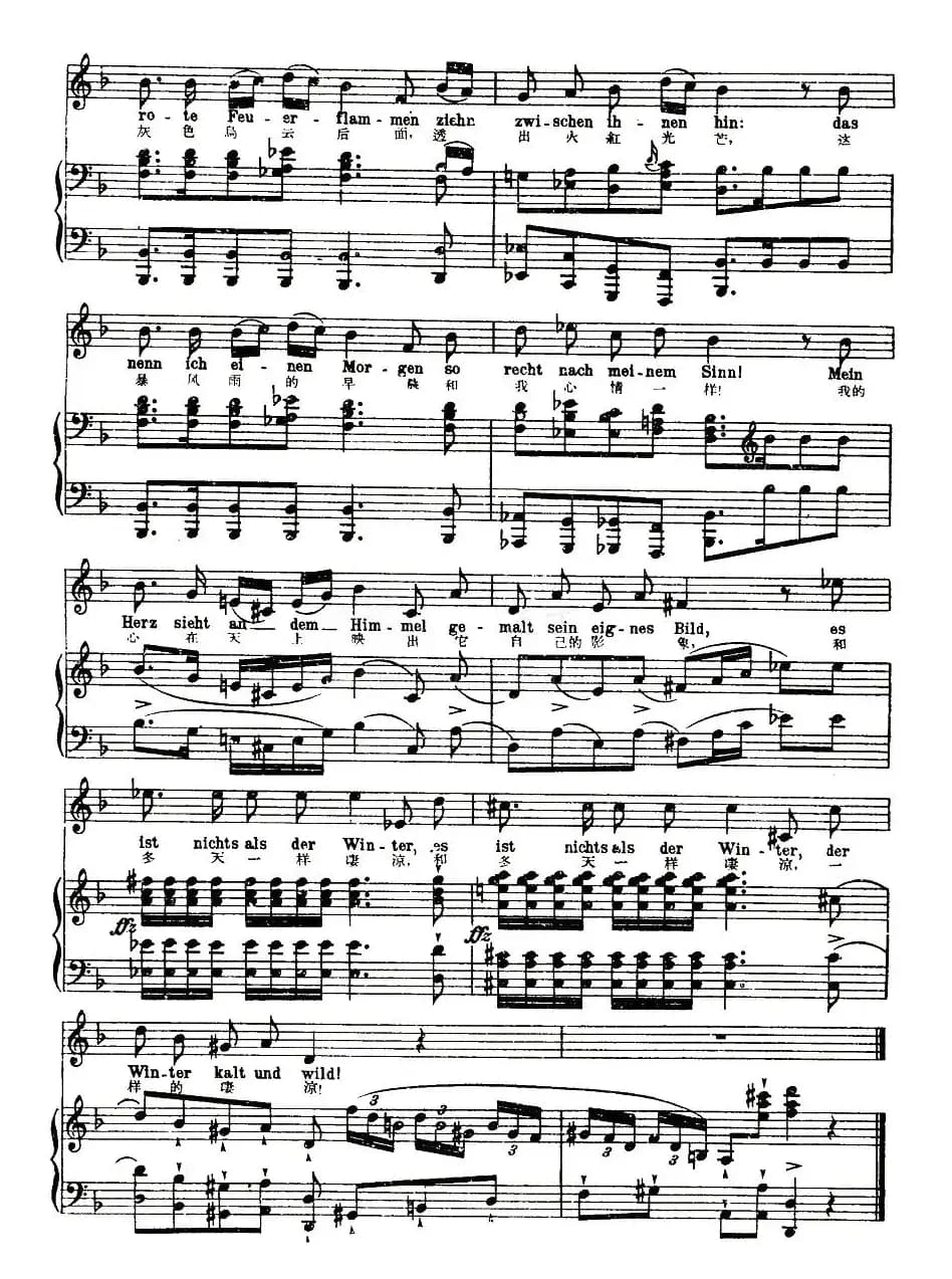 风暴的早晨（中外文对照版、正谱 [奥]）