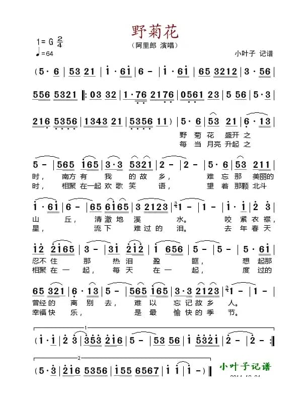 野菊花（阿里郎演唱版）