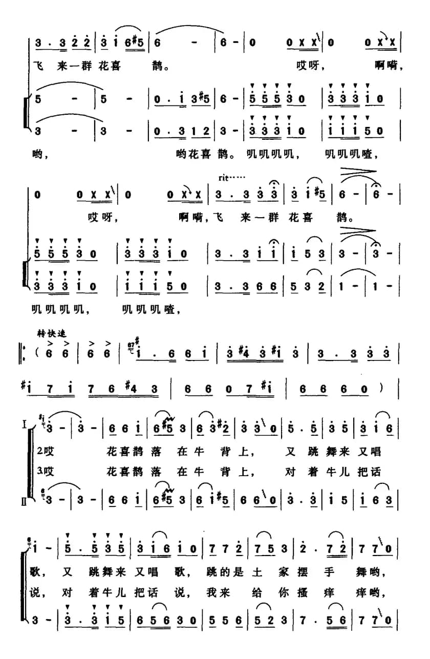牛背上的花喜鹊（女声小组唱）