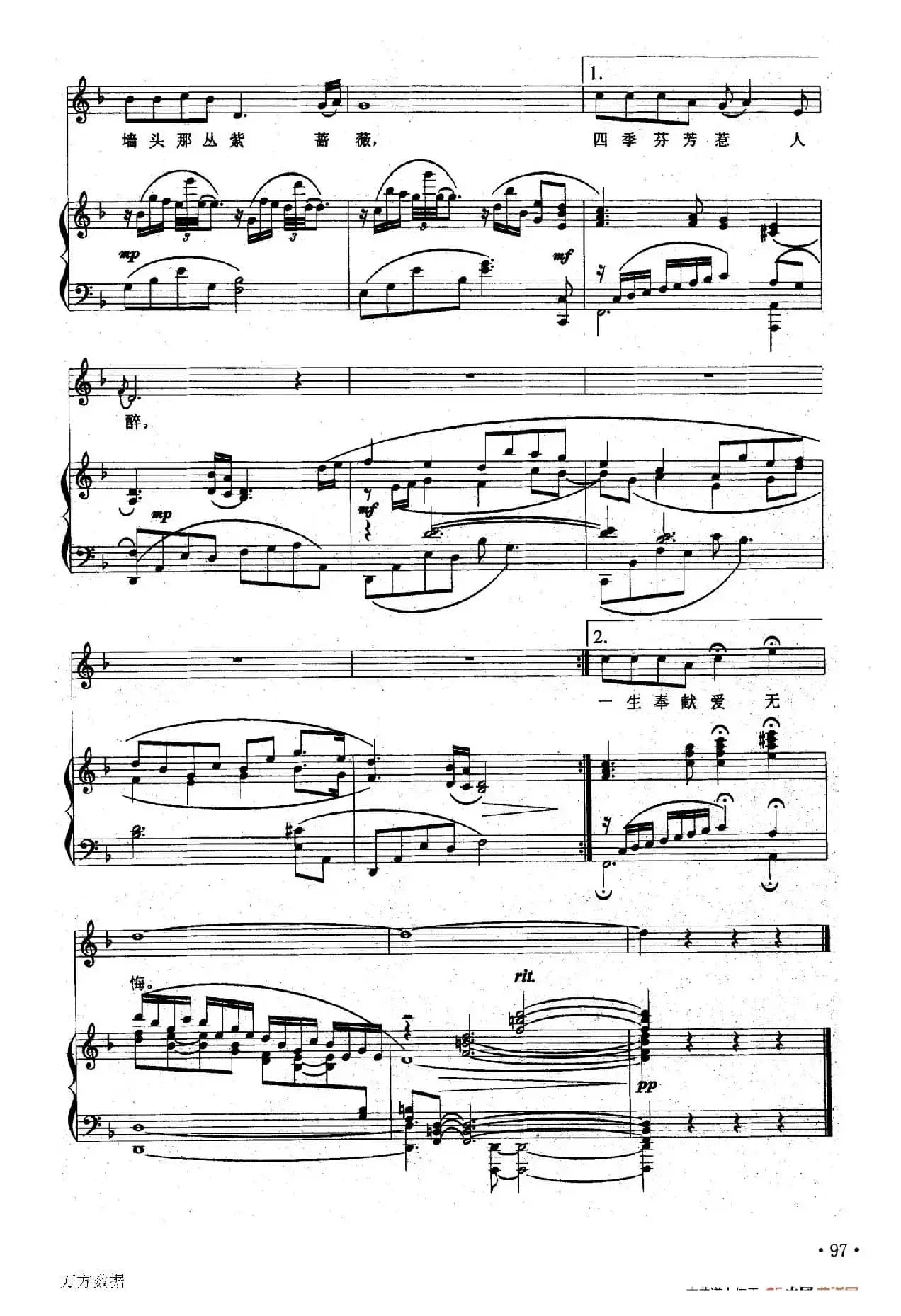 紫蔷薇（正谱）