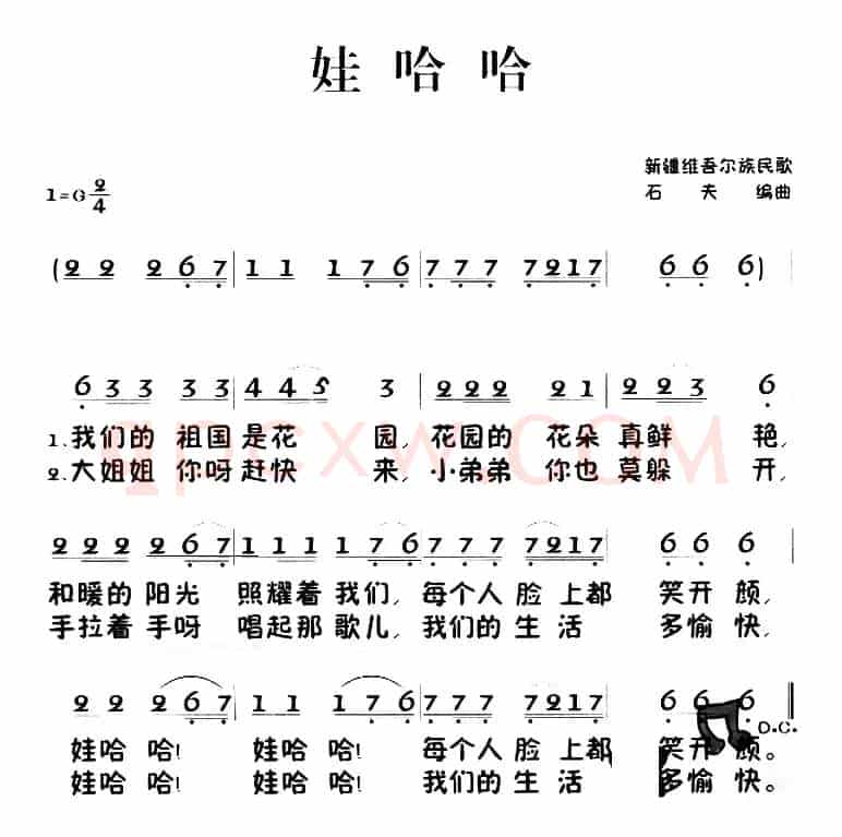 娃哈哈