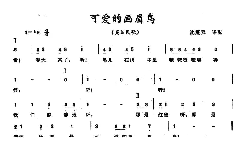 [英]可爱的画眉鸟 