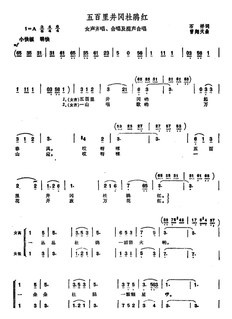 五百里井冈杜鹃红