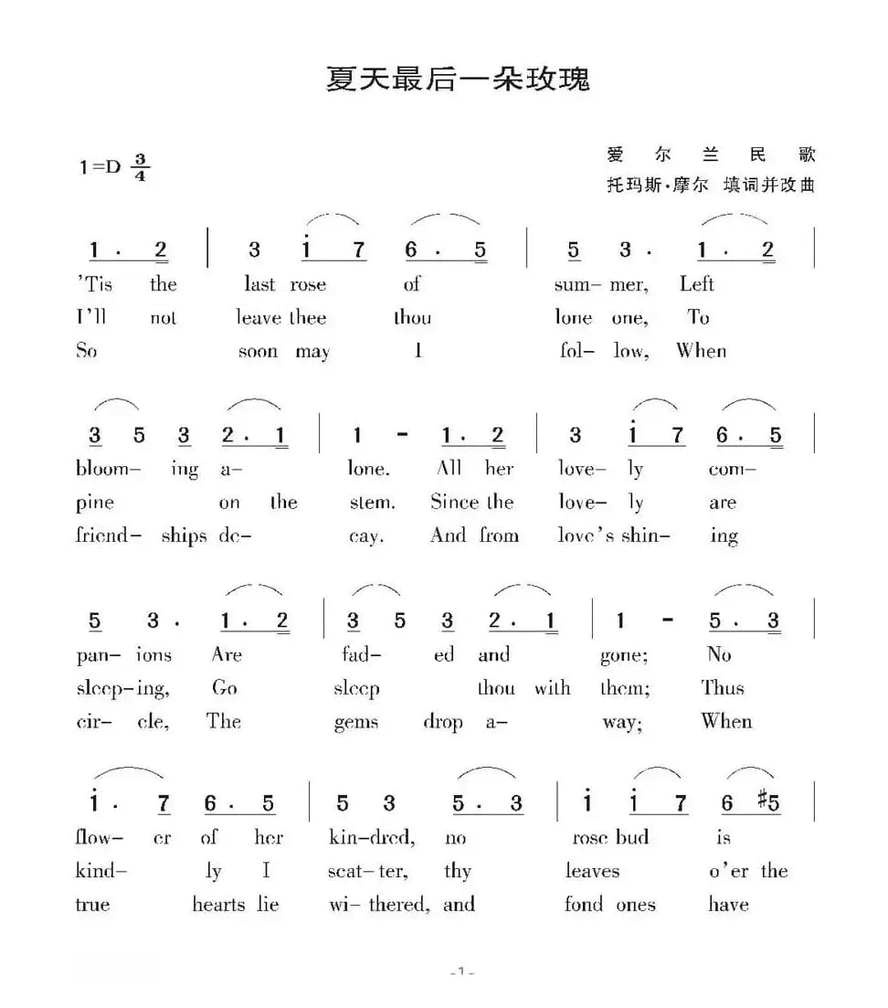 [爱尔兰]夏天最后一朵玫瑰