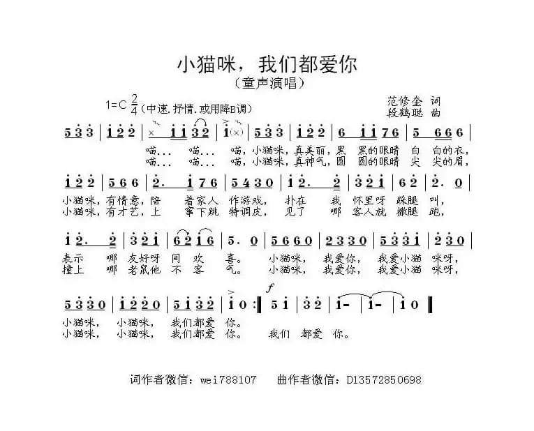 小猫咪，我们都爱你