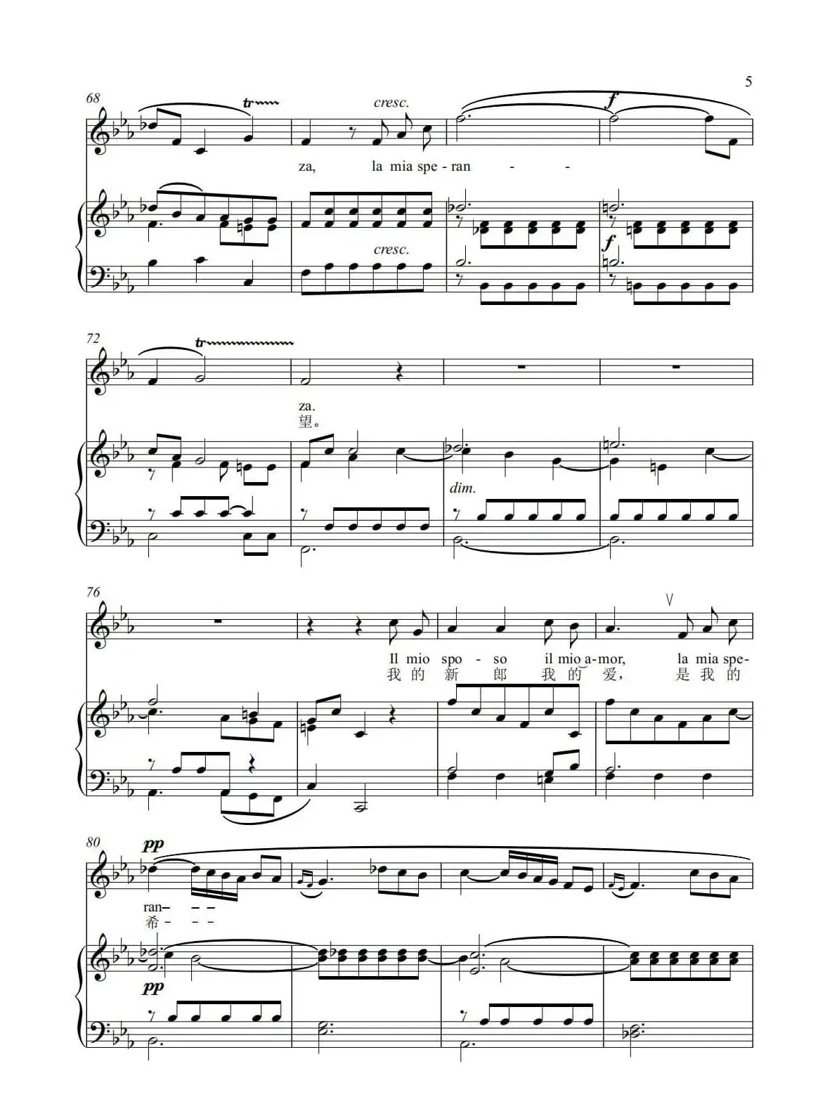 《受伤的新娘》