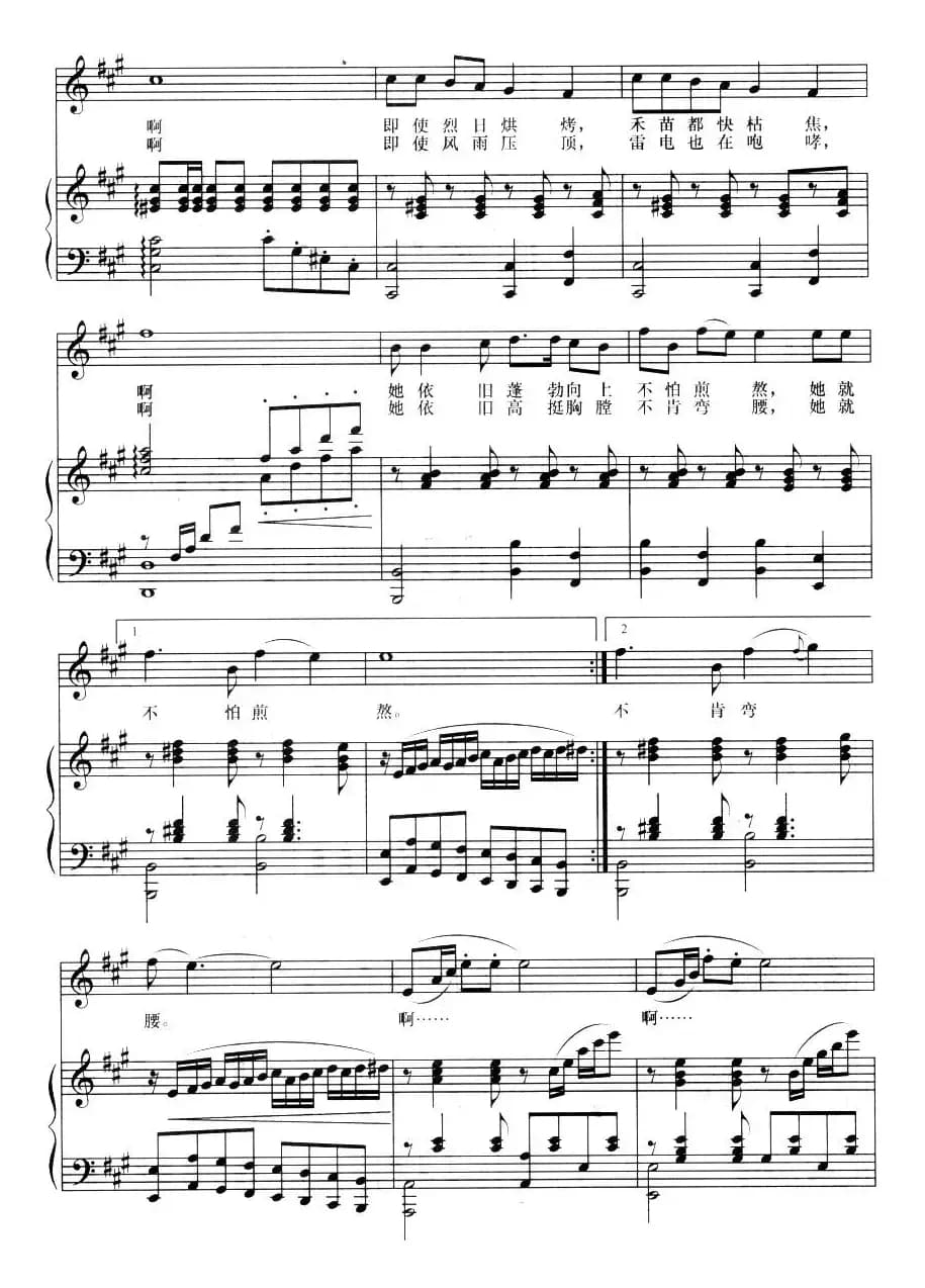 黑土地的白杨树（正谱）