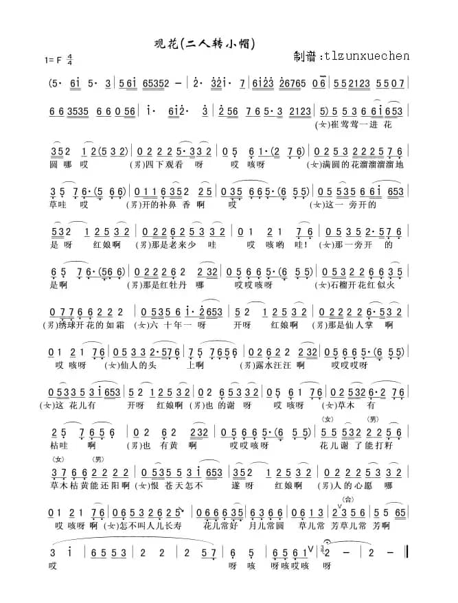 观花（二人转小帽）
