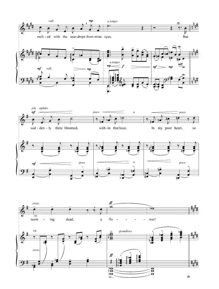 [美]心灵之花（正谱）