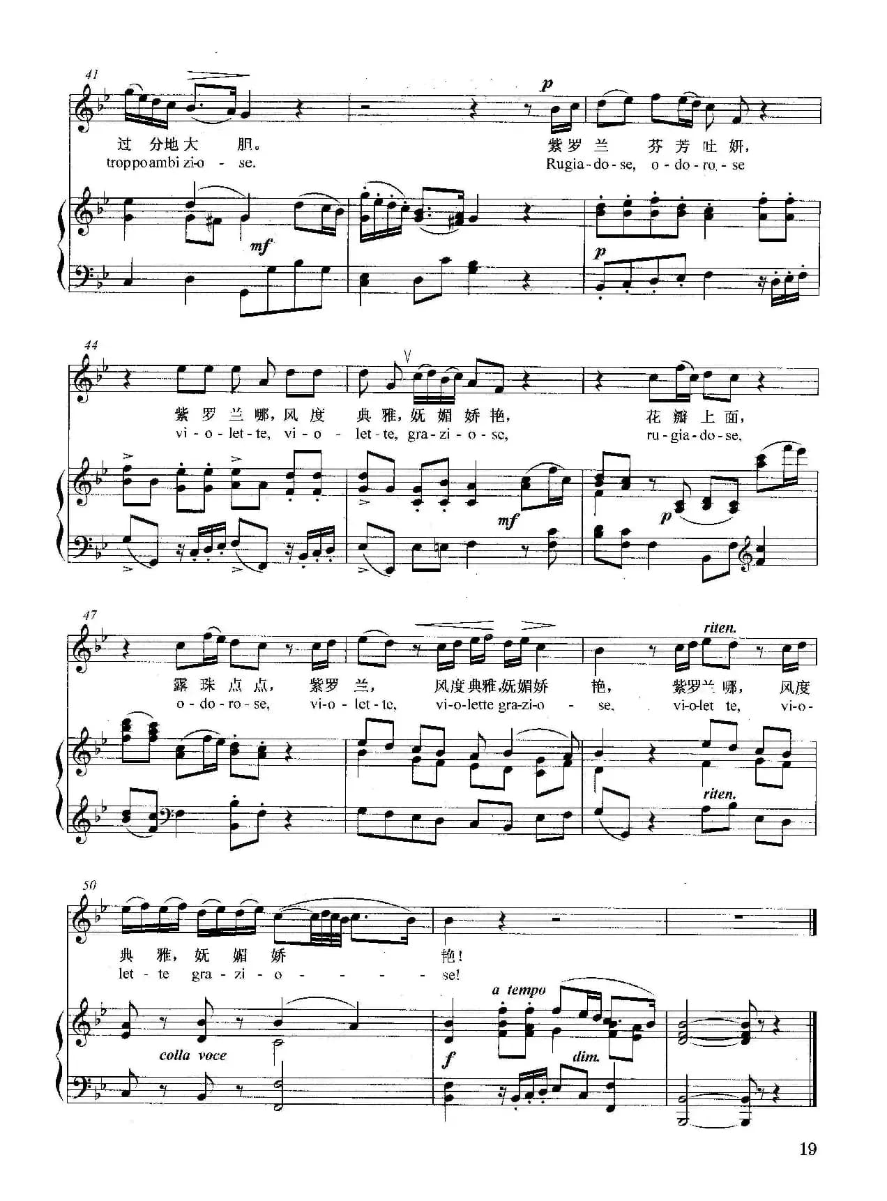 [意]紫罗兰（正谱）