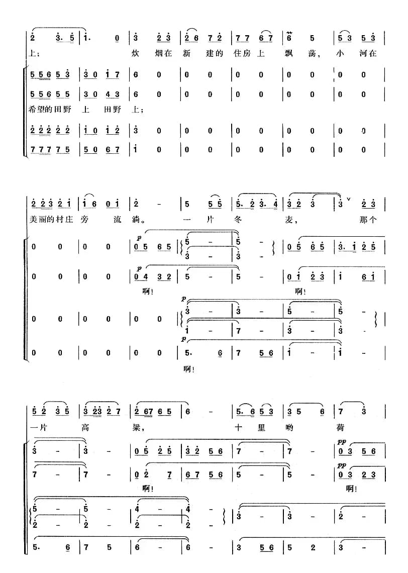 在希望的田野上