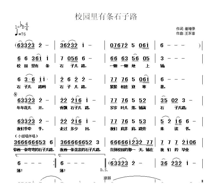 校园里有条石子路