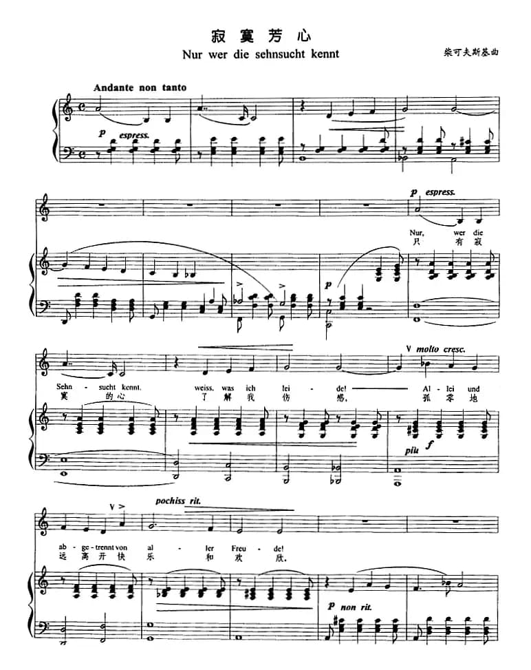 寂寞芳心（正谱）