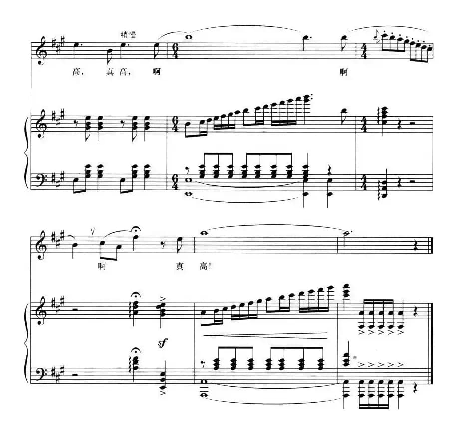 黑土地的白杨树（正谱）