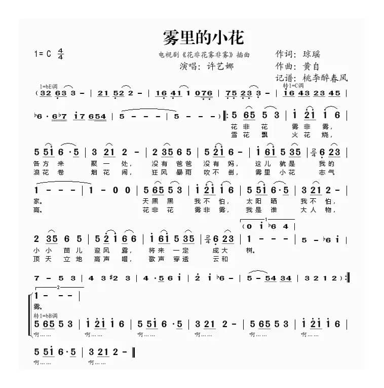 雾里的小花(《花非花雾非雾》插曲)