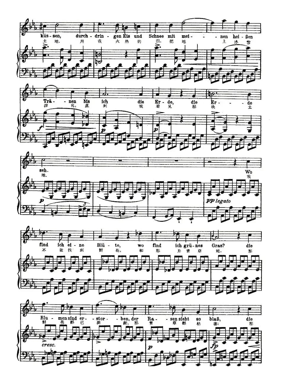 凝结（中外文对照版、正谱 [奥]）