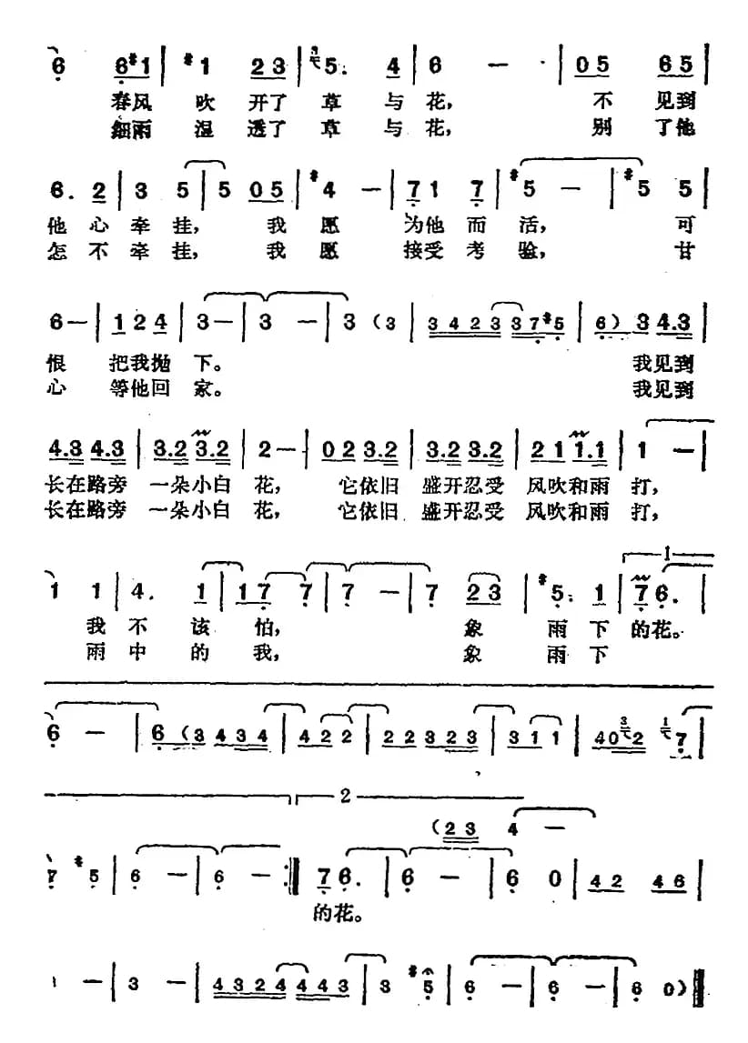 邓丽君演唱金曲：雨下的花朵