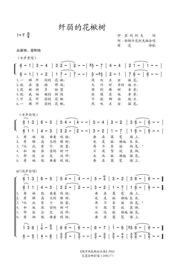 纤弱的花楸树（俄）