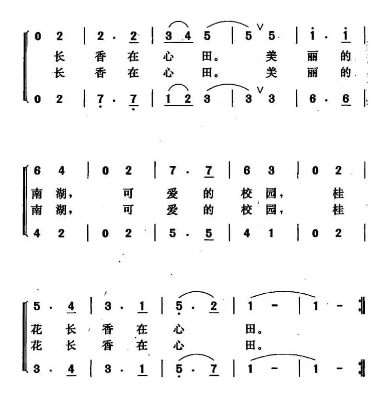 美丽的南湖，可爱的校园