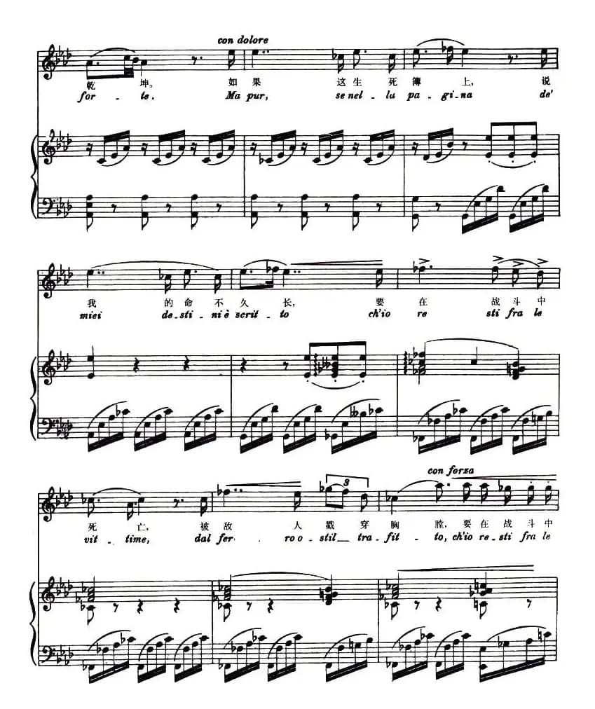 [意]我属于你，可爱的人（中外文对照、正谱 ）