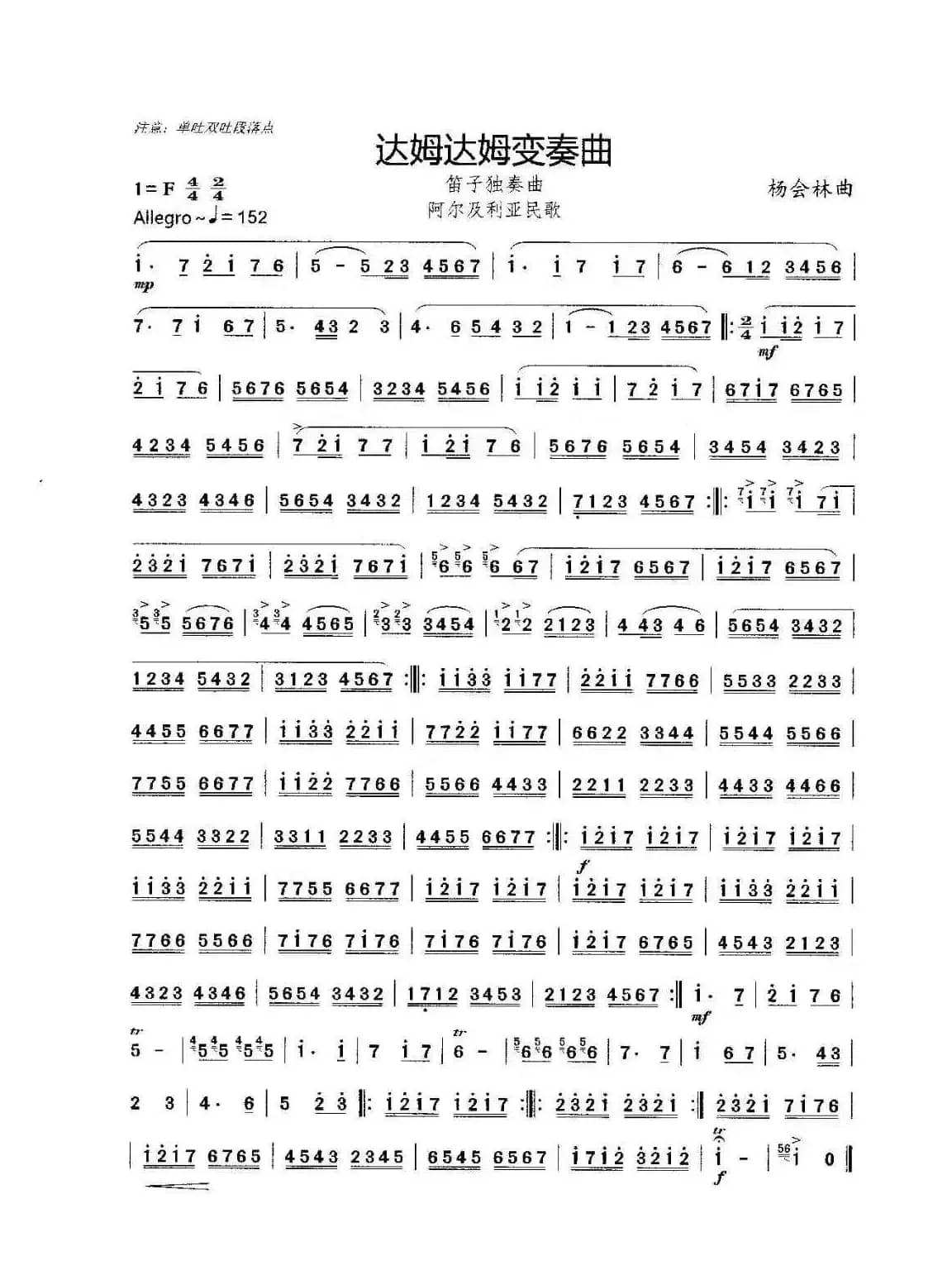 达姆达姆变奏曲（笛子独奏曲）