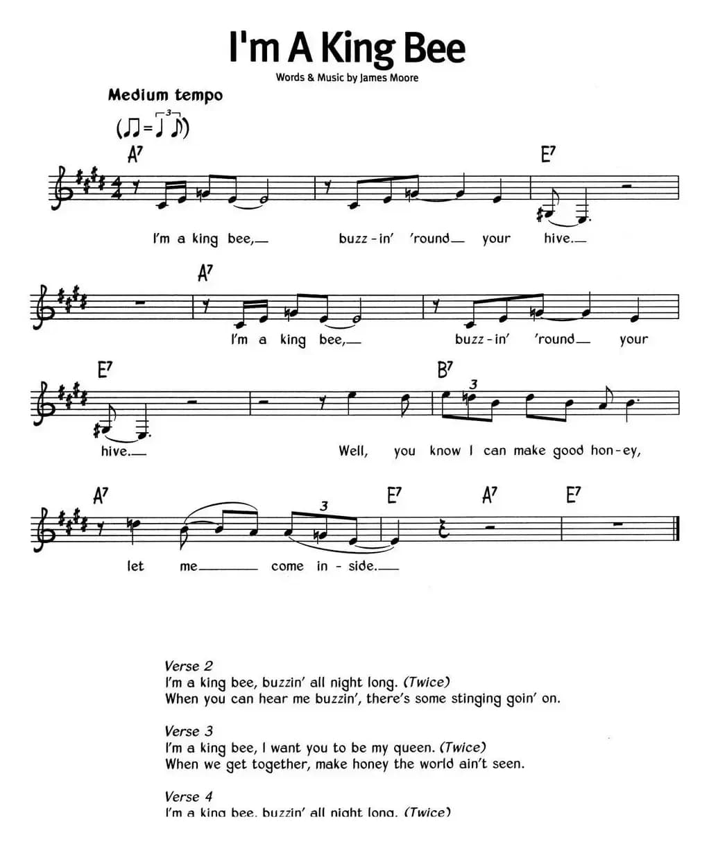 蓝调音乐：I'm A King Bee