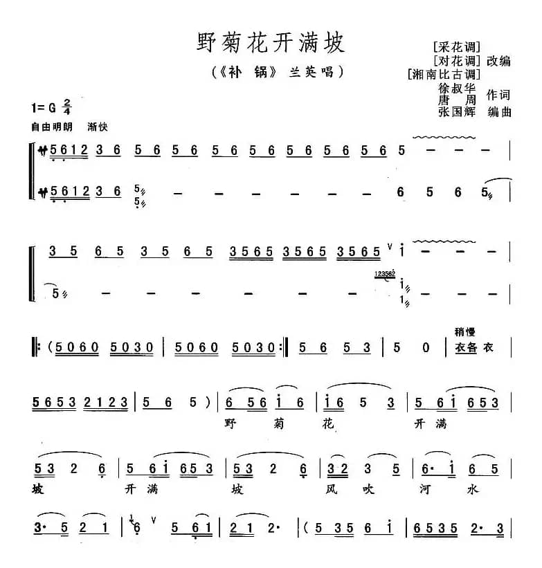 野菊花开满坡（《补锅》兰英唱段）