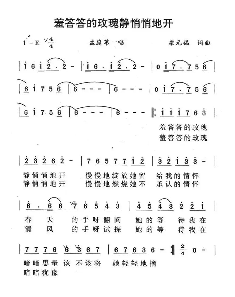 羞答答的玫瑰静悄悄的开